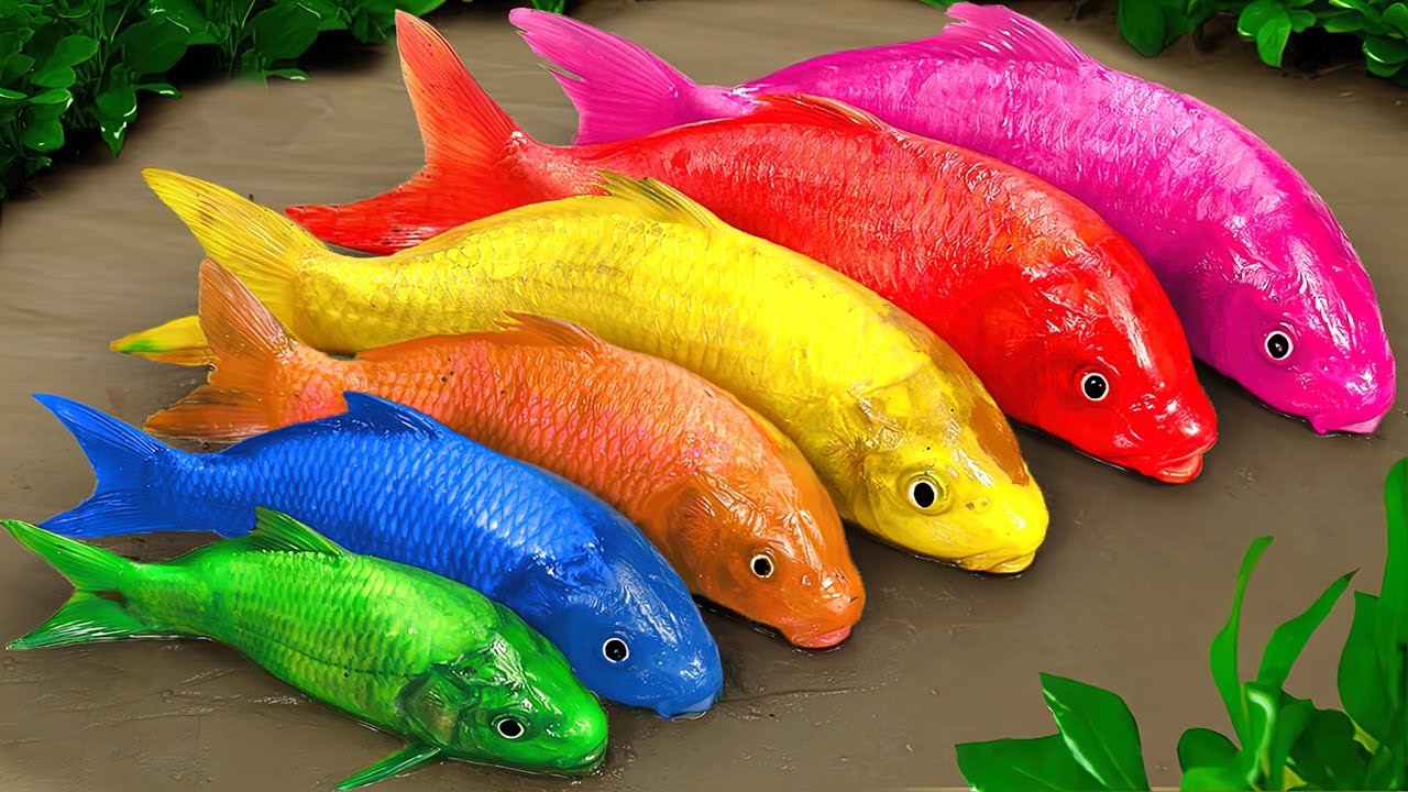 Cartoon fish hindi cartoon video kahani cartoon video fish